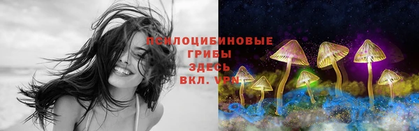 кокаин Алексин