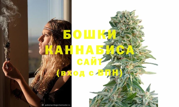 2c-b Нязепетровск